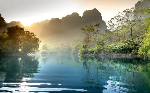 精密高端